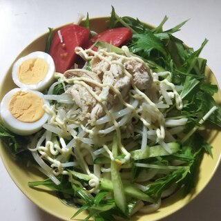 簡単！野菜たっぷり冷やしうどん中華